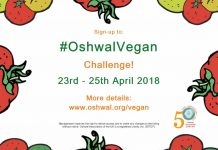 How I kept going being a vegan