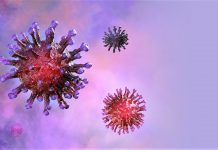 Coronavirus Update