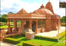 Plant Based Diet Talk