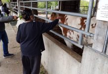 Jiv Daya Donation – New Gokul Farm