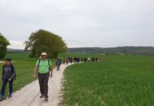 Ashridge Estate, Bridgewater Monument – Nov 2022