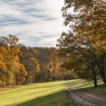 Oshwal Trekkers – Ashridge Estate – 30 Nov 2025