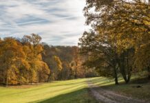 Oshwal Trekkers – Ashridge Estate – 30 Nov 2025
