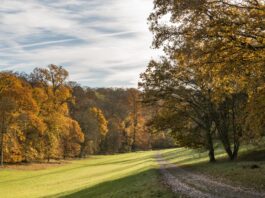 Oshwal Trekkers – Ashridge Estate – 25 May 2025