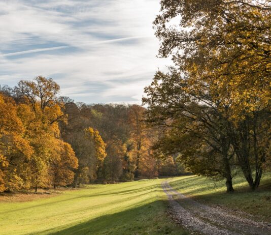 CANCELLED: Oshwal Trekkers & Enabling Network – Ashridge Estate – 28 Sept 2025