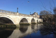Richmond Thames Park Walk – March 2023