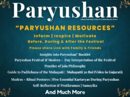Paryushan Resources