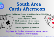 South Area – Cards Afternoon