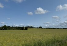 Oshwal Trekkers – Woburn & Aspley Heath – 29 June 2025