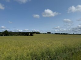 Oshwal Trekkers – Woburn & Aspley Heath – 29 June 2025