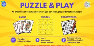 North East Puzzle and Play