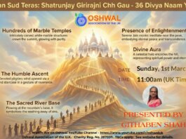 Fagan Sud Teras: Shatrunjay Girirajani Chh Gau – 36 Divya Naam Yatra
