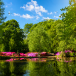 Oshwal Trekkers – Richmond Park & Isabella Plantation – 24 May 2026