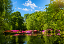 Oshwal Trekkers – Richmond Park & Isabella Plantation – 24 May 2026