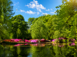 Oshwal Trekkers – Richmond Park & Isabella Plantation – 24 May 2026