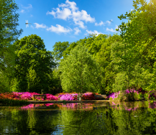Oshwal Trekkers – Richmond Park & Isabella Plantation – 24 May 2026
