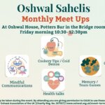 Oshwal Sahelis – Monthly Meet Ups